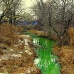 Экологи Приморья проверят химический состав позеленевшей реки в Артеме